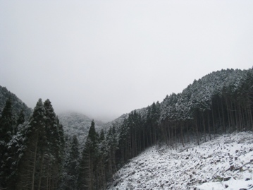 c0077338_921404.jpg