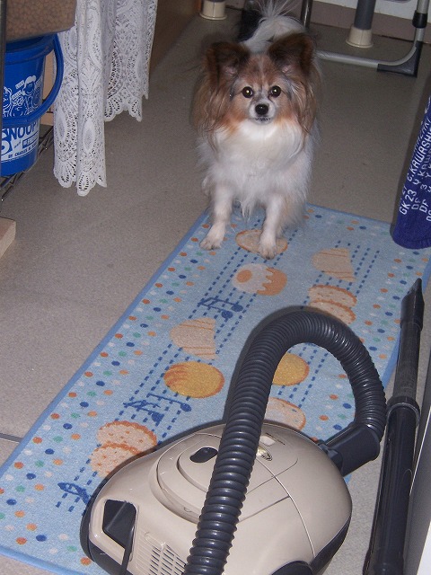 c0048940_23494572.jpg