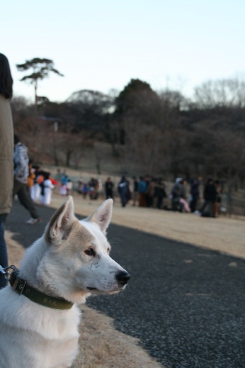 明けましておめでとうございます☆_d0204043_1352186.jpg