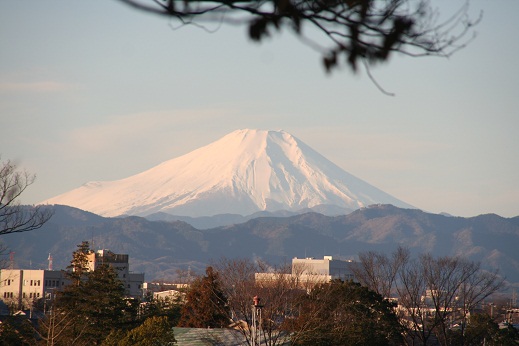 明けましておめでとうございます☆_d0204043_1353221.jpg