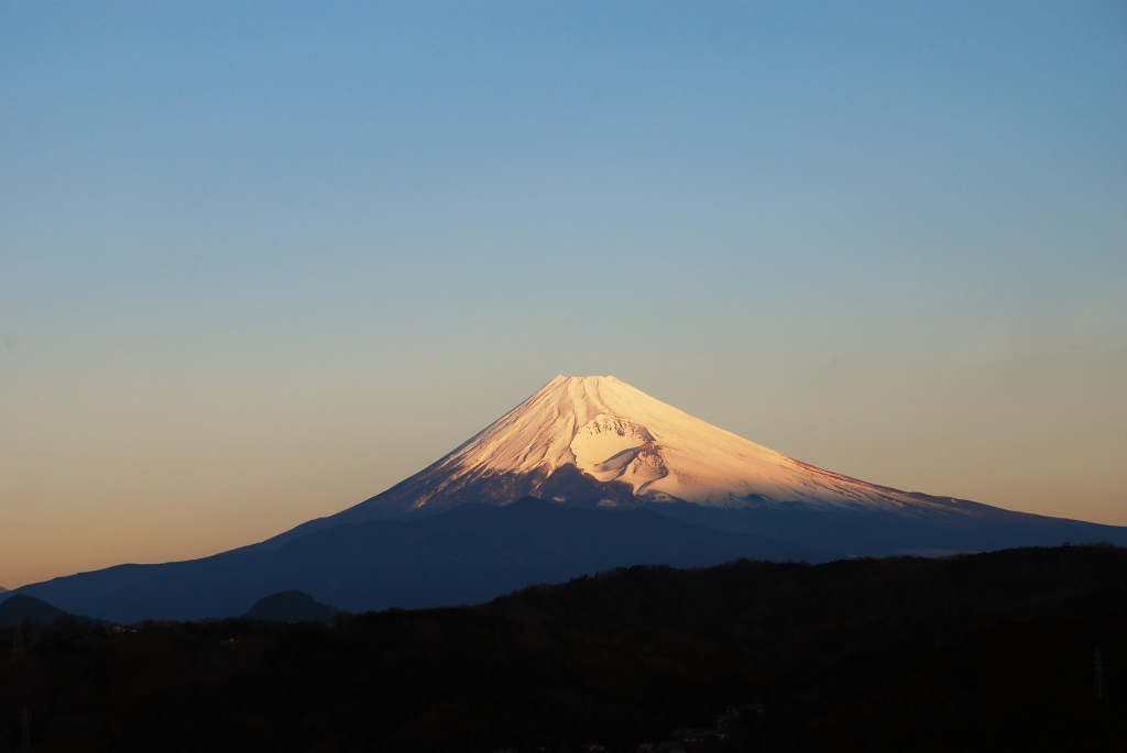 初撮りの蘭花_f0043750_23471028.jpg