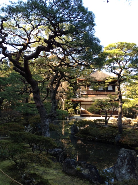 京都旅行の写真を掲載します_b0115553_1455523.jpg