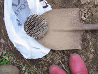 e0010353_159063.gif