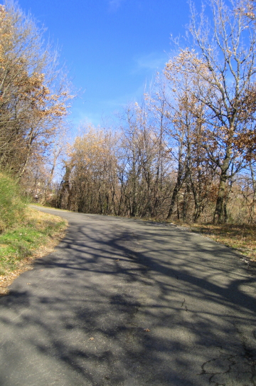 f0077159_156963.jpg