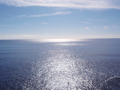 f0223480_1104656.jpg