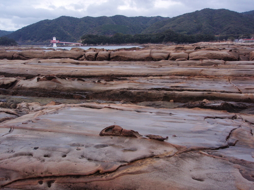 大堂海岸　2日目　足摺岬_f0223480_1129884.jpg