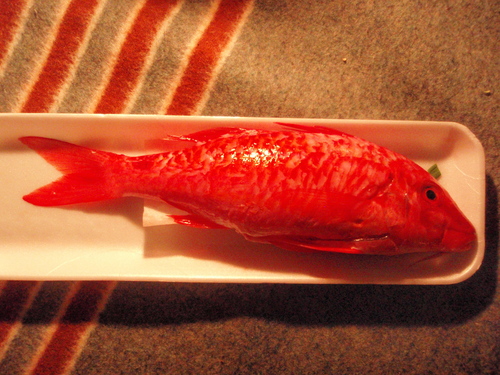 f0223480_11305254.jpg