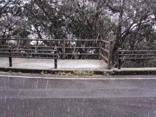 f0223480_11401827.jpg