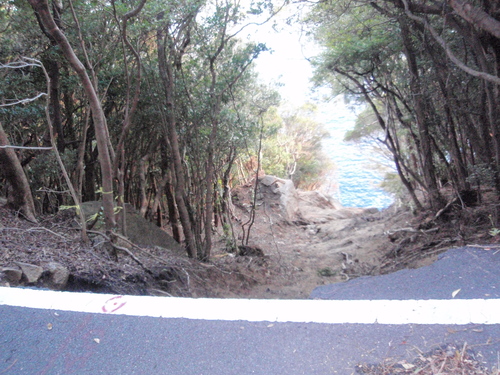 f0223480_1191134.jpg