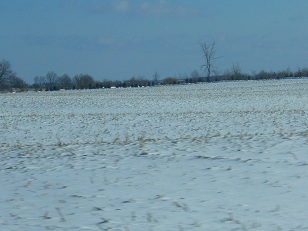 f0188990_1195455.jpg