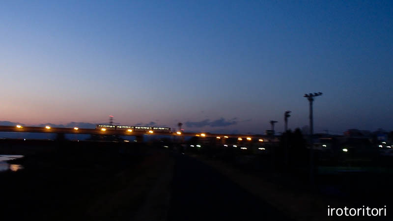 多摩川夕景　　（コガモ）　　2013/01/02_d0146592_2193548.jpg