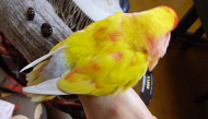 d0282395_8574935.png