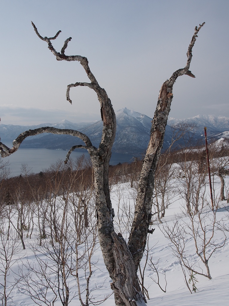 1月2日、七条大滝と紋別岳_f0138096_15511514.jpg