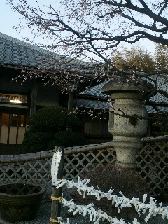 d0173197_0452472.jpg