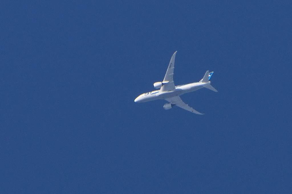 b0024798_82074.jpg
