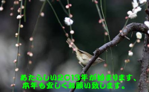 d0090001_14404682.jpg