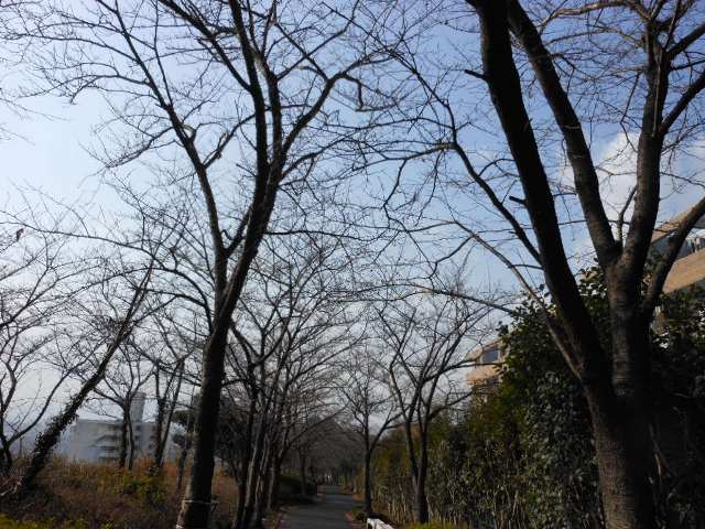 a0075802_21465018.jpg