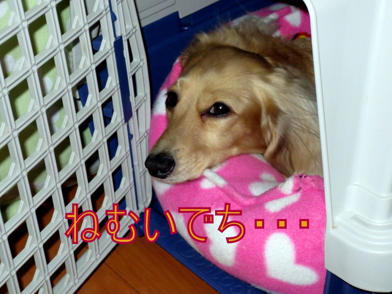 f0224506_18454865.jpg