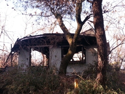 2013散歩始め_b0042308_1235459.jpg