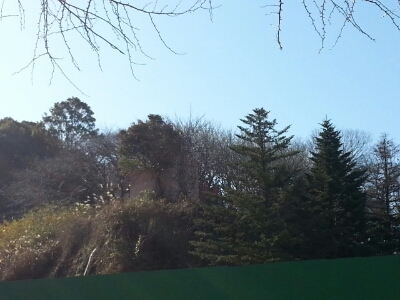 2013散歩始め_b0042308_154396.jpg