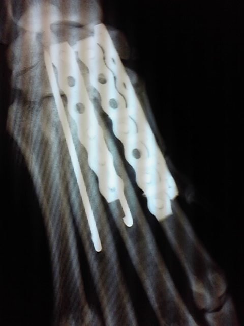 b0190908_11521913.jpg