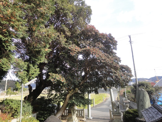 f0231709_14475675.jpg