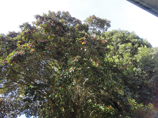 f0231709_14533092.jpg