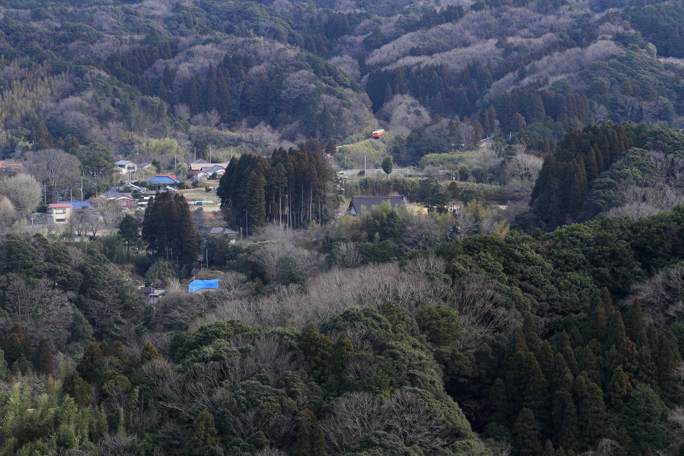 冬枯れ - 2013年新春・小湊 - _b0190710_21415028.jpg