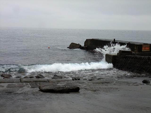 d0175710_918083.jpg