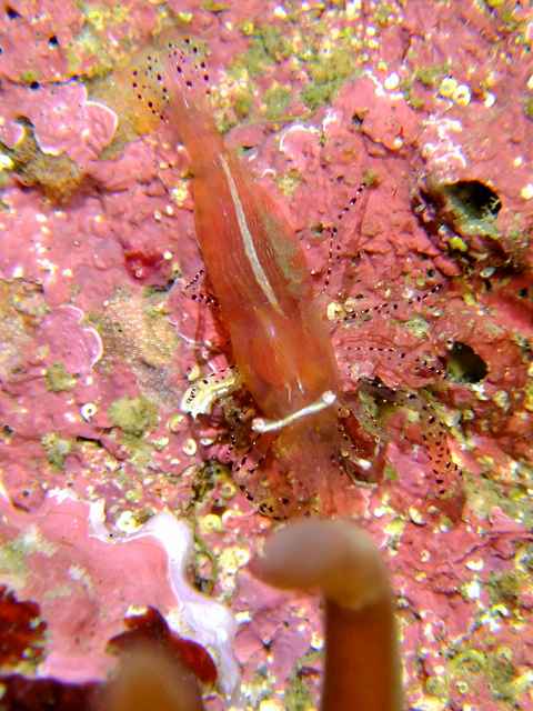 d0175710_9182957.jpg