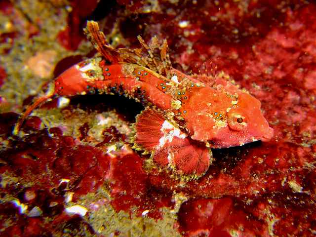 d0175710_918751.jpg
