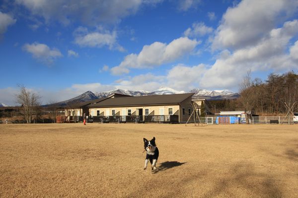 d0224111_8474071.jpg