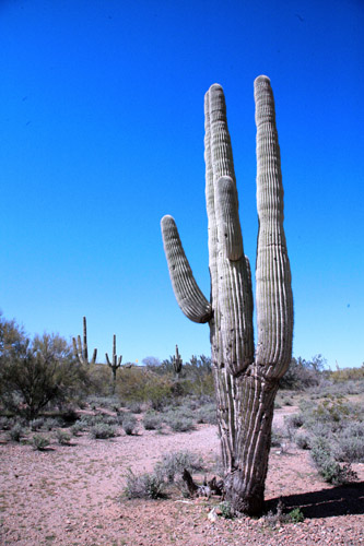 c0148812_1891132.jpg