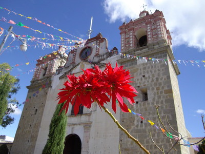 e0239312_613386.jpg