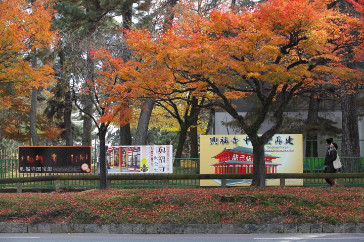奈良公園の紅葉-興福寺あたり_d0207413_16194151.jpg