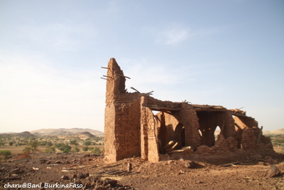 d0074518_9183353.jpg