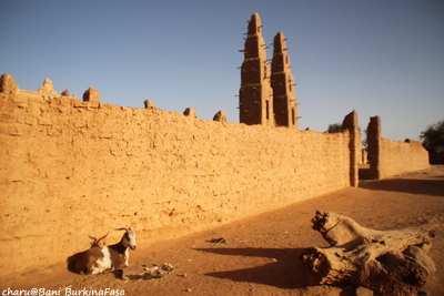 12/31-1/1 Bani BurkinaFaso 大晦日＆元旦うたうた♪_d0074518_9191927.jpg