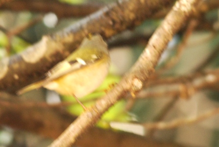 f0148619_14525259.jpg