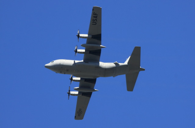 c0215621_37954.jpg