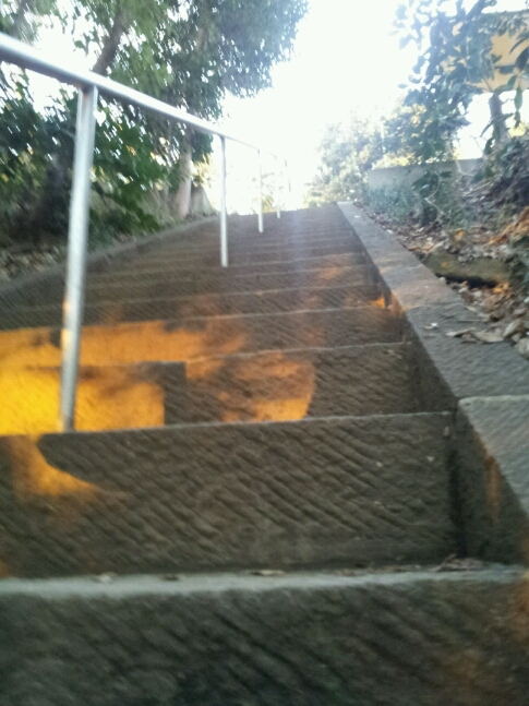 e0128526_1759532.jpg