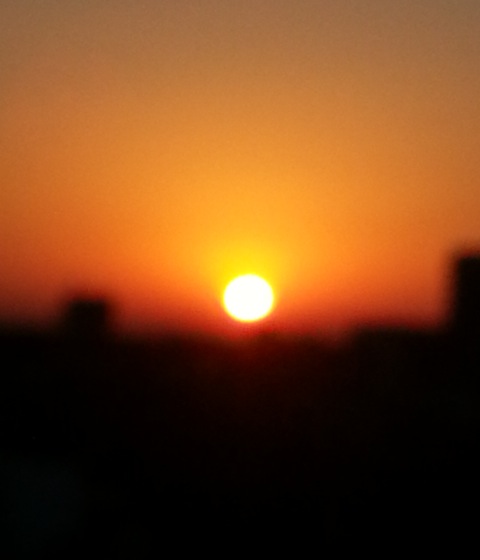 2013明けましておめでとうございます★_b0213435_2032368.jpg