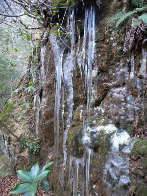 2013年初歩き、傾山の樹氷に大感動！_e0272335_104434.jpg