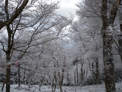 2013年初歩き、傾山の樹氷に大感動！_e0272335_1048793.jpg