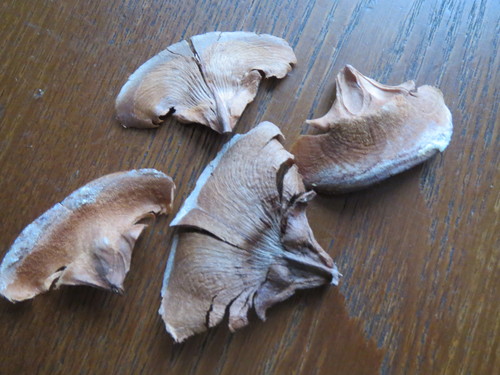 e0259738_915261.jpg