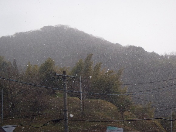 a0054240_2337859.jpg