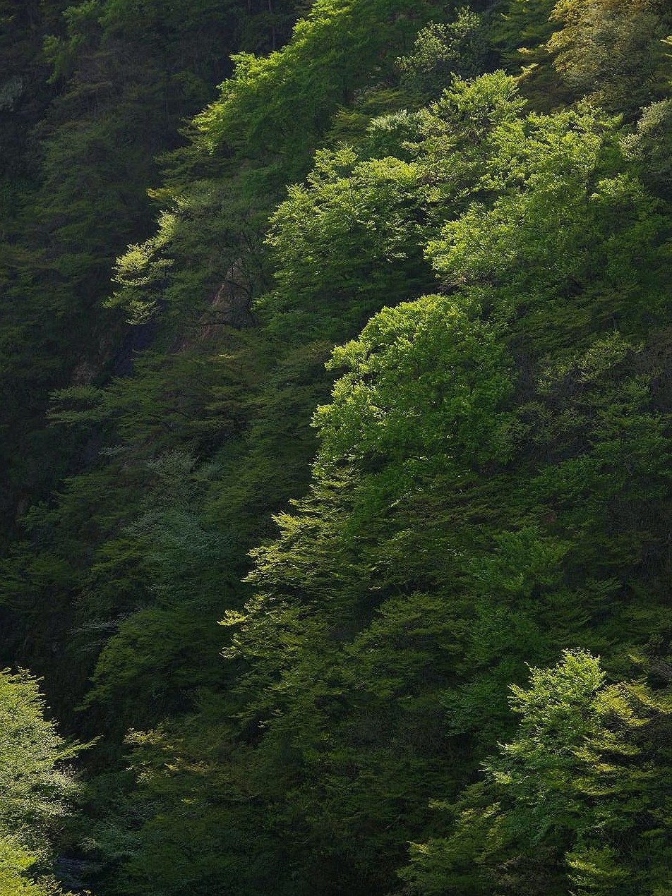 d0237340_12594069.jpg