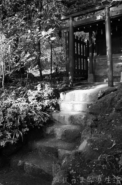 パワースポット・箱根神社_a0009142_11503528.jpg