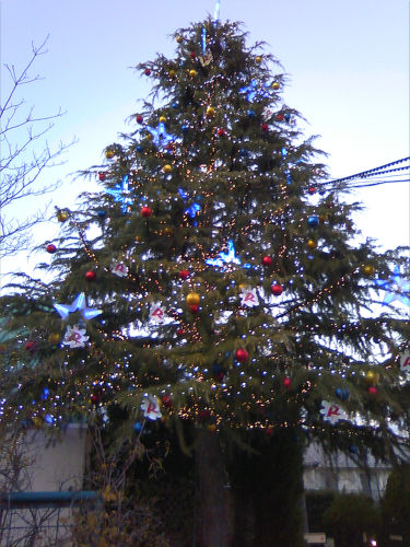 f0108346_3123231.jpg
