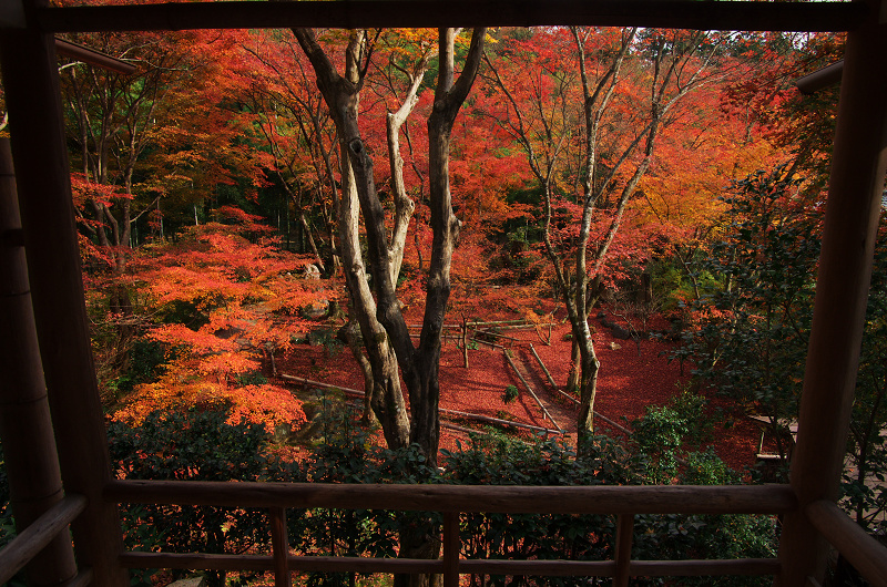 晩秋絶景（直指庵・後編）_f0155048_2356123.jpg