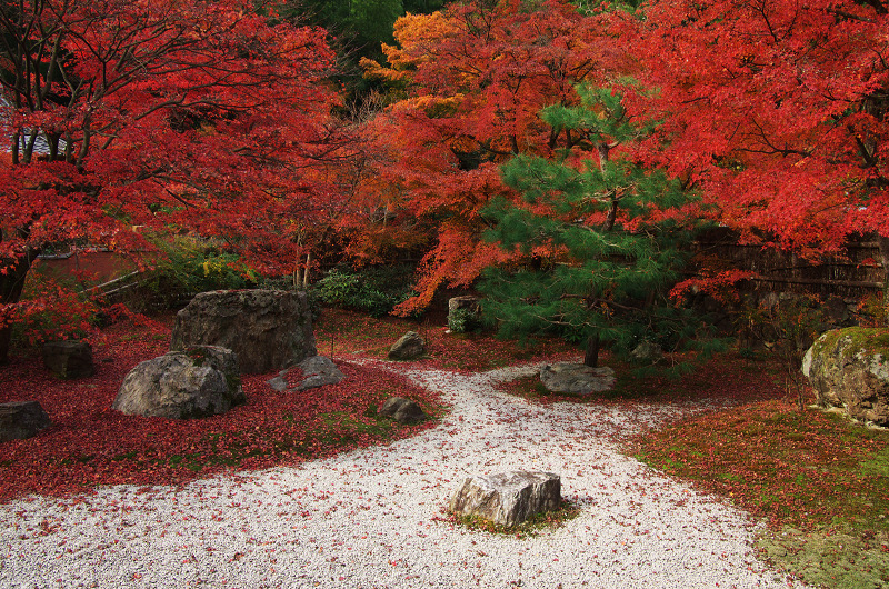 晩秋絶景（直指庵・後編）_f0155048_23575771.jpg